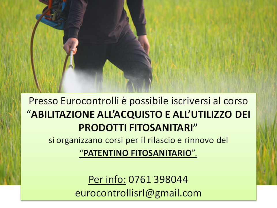 Prova 01 Prova 01